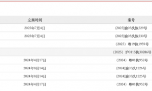 司法拍卖“常客”！锦龙股份，再度被“上架”！