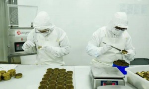 比茅台更“暴利”的生意，要靠IPO讲新故事了