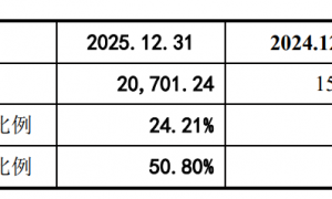 超纯股份IPO：大客户依赖和高应收占比拷问供应链地位 一边买理财一边大额募资是否合理？