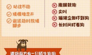 下月起，遛狗不栓绳最高拘10天罚1千